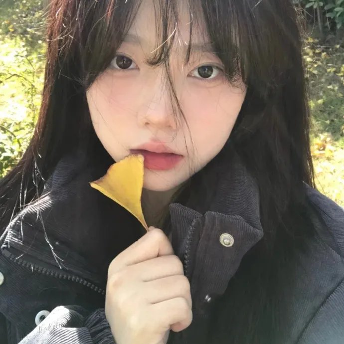 黄金鸟